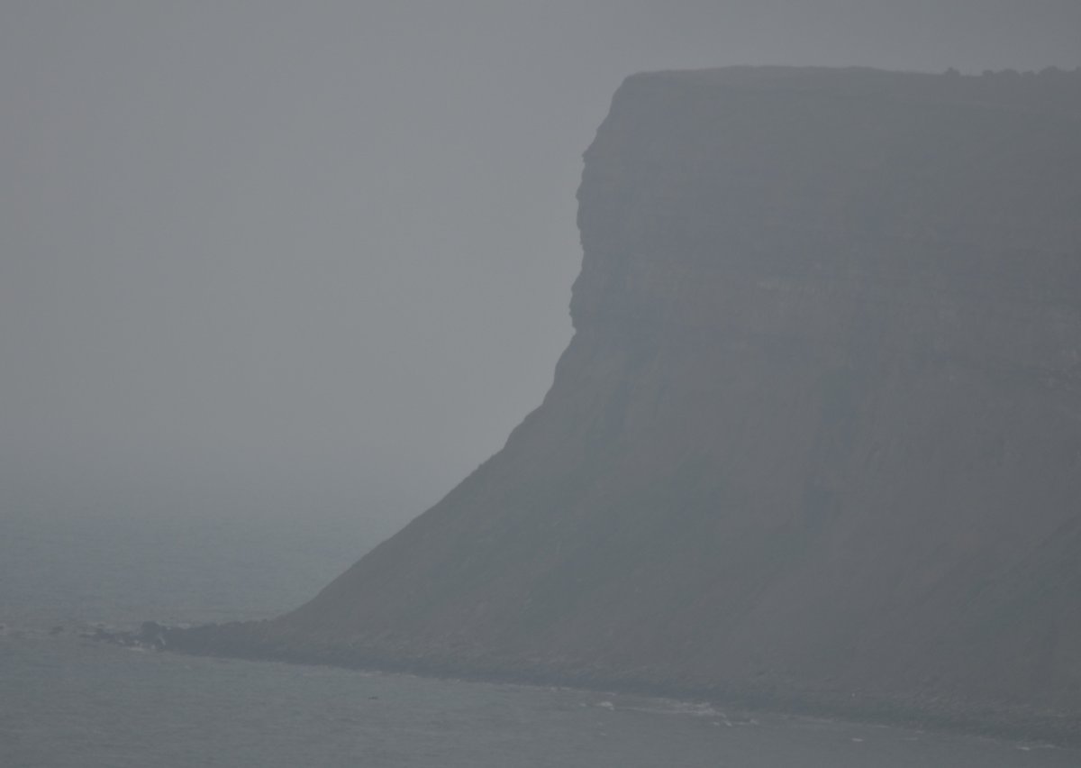 atreya2112's tweet image. #Vss365 #Ambience

Unruffled the fret
In its sauntering ambience,
Like the ragged of the grey
Is softly calling,
And the sea is a velveteen
Sedate..of rain,

#WritingCommunity 

Pic is my own