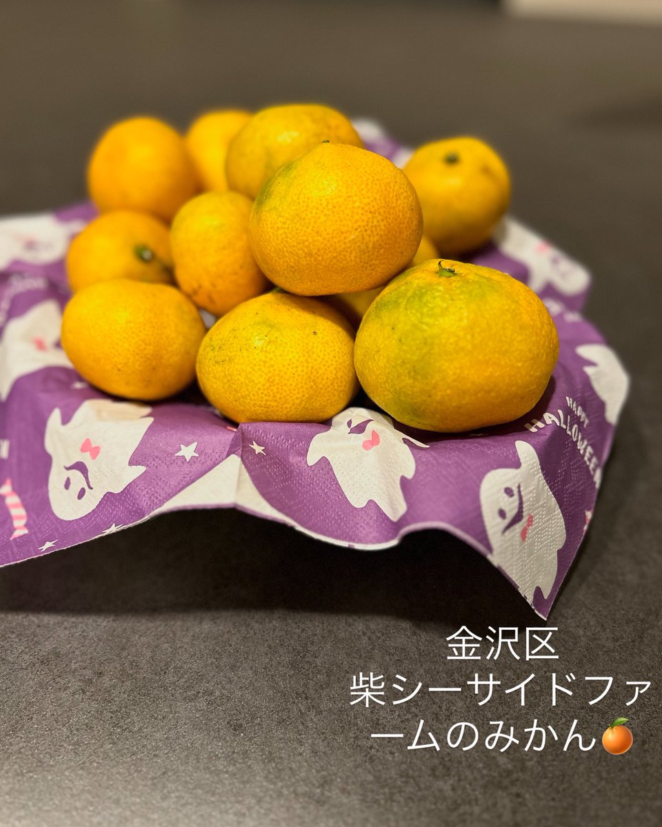 UnitedLabos's tweet photo. 金沢区柴シーサイドファームの農園で今年もみかん狩りがスタートいたしました！ https://t.co/acM2L7mCVI https://t.co/Rph6jwuWYa