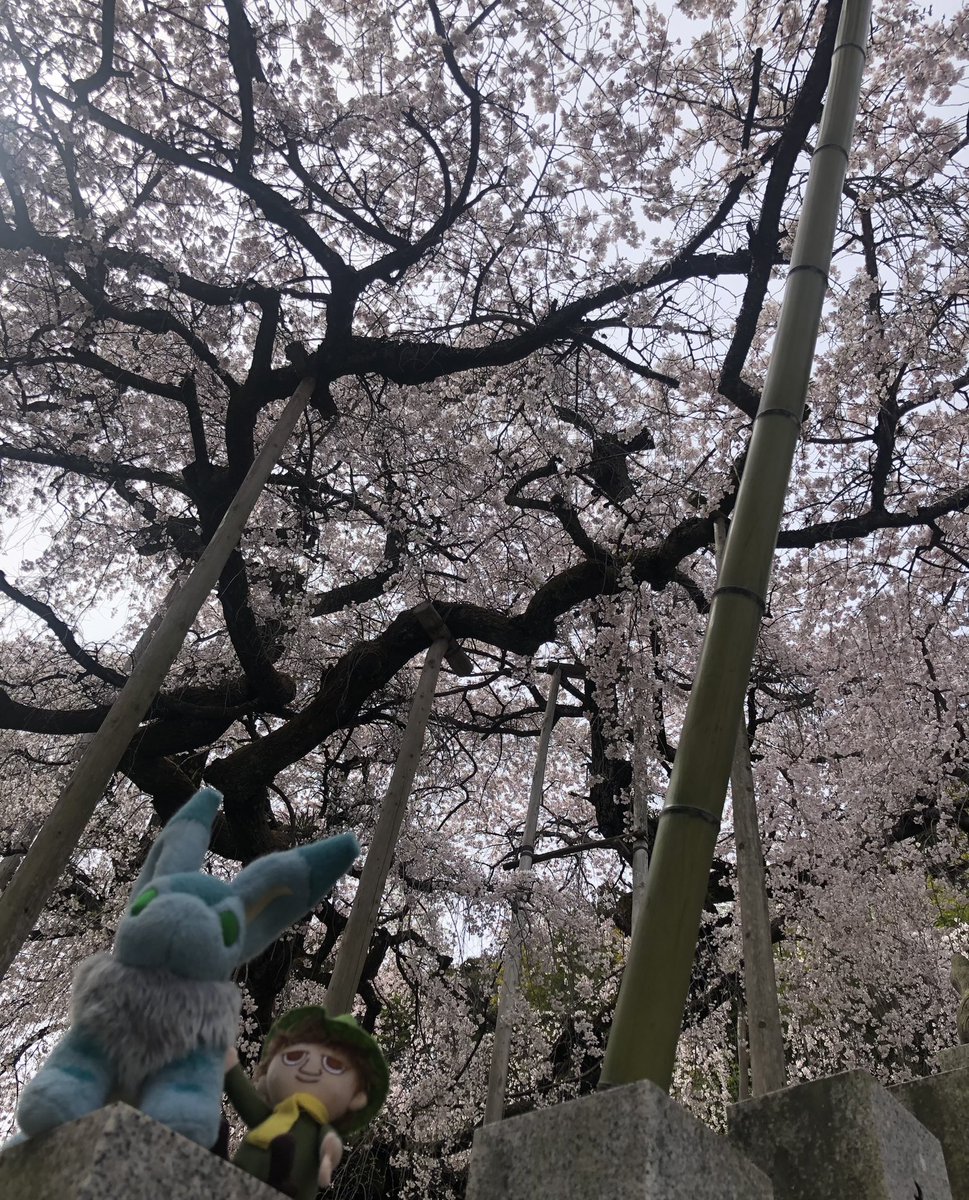 結(ゆい)🚩〜心を結ぶ旅〜 tweet media