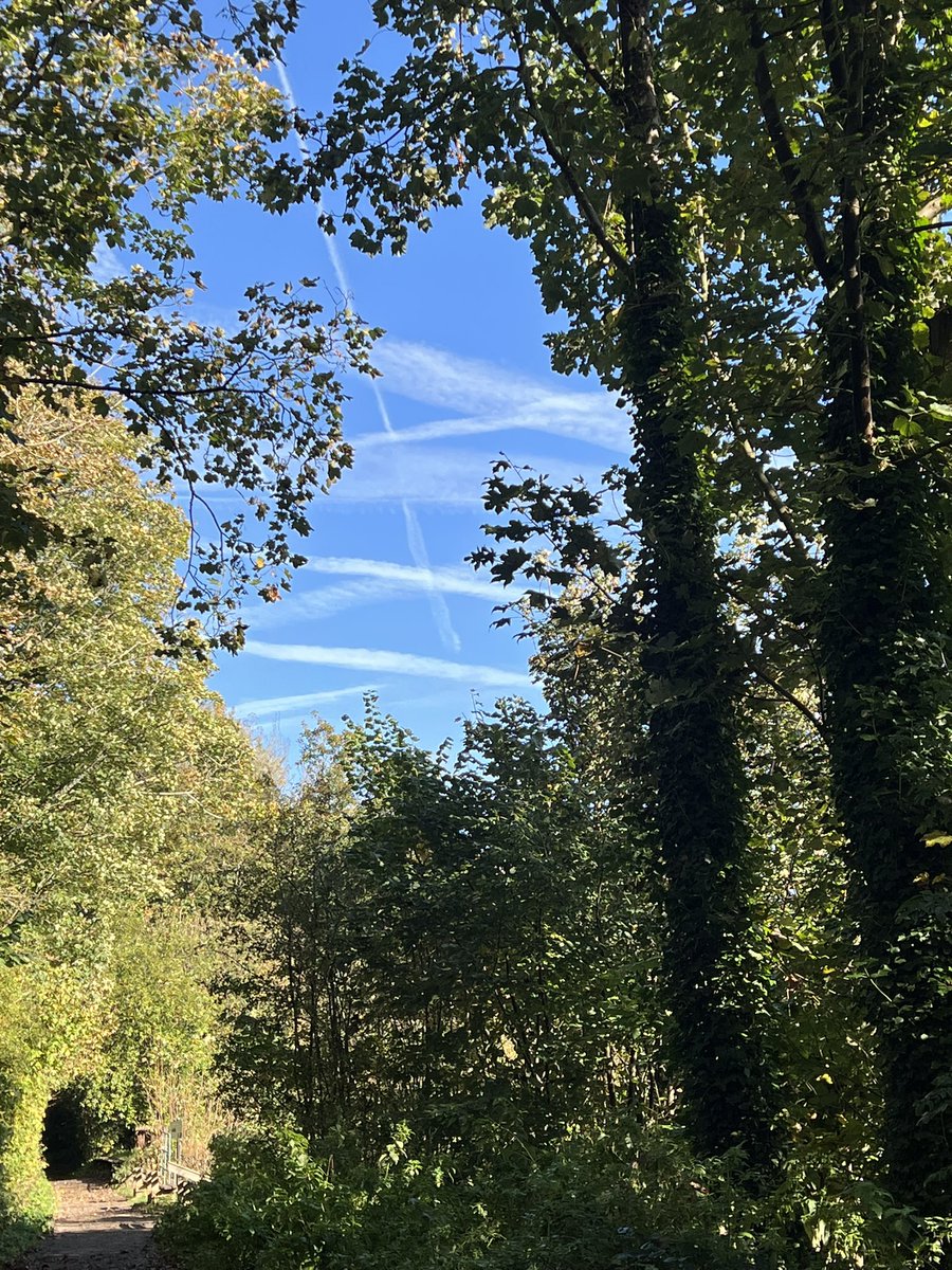 DonnaJDraper's tweet photo. @Chemtrail101 Today, over Wickham, PO17 https://t.co/mM2oe292UK