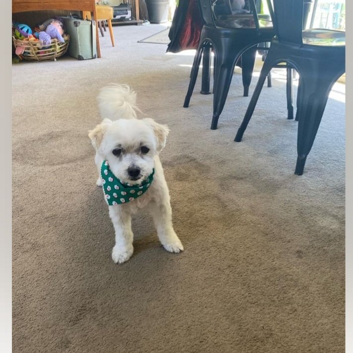 Deo Persad tweet media