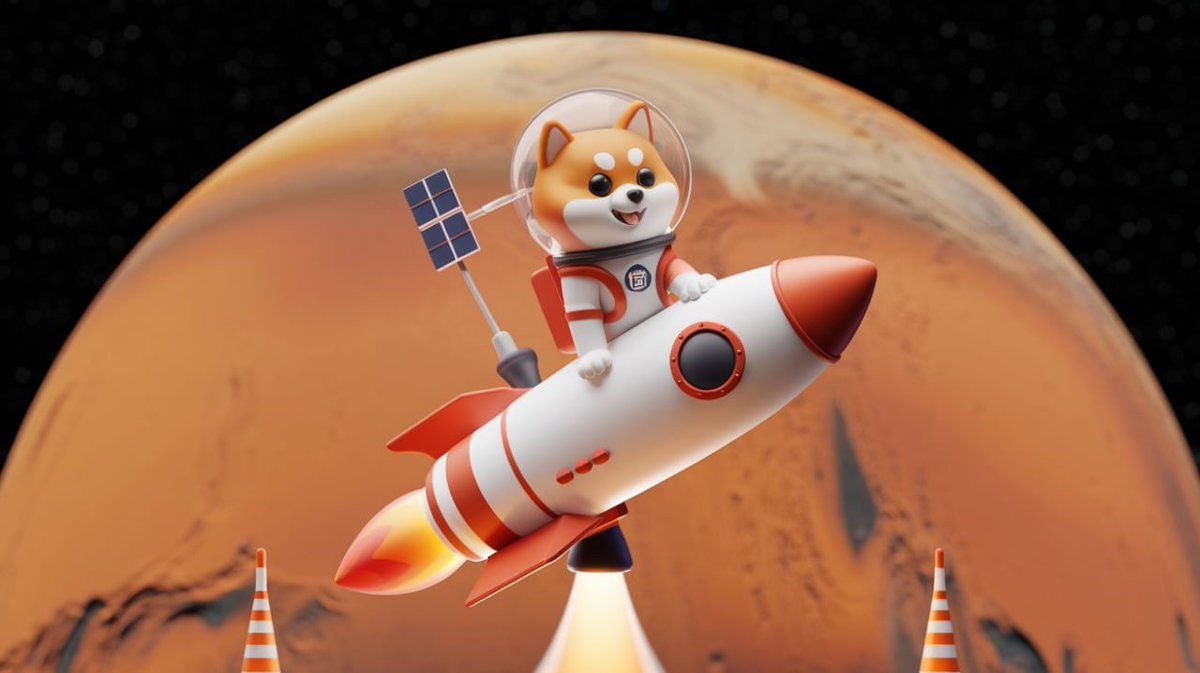 SpaceNeiro tweet media