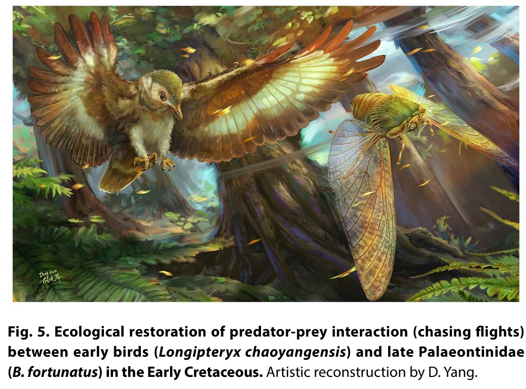 Cool to see a rather convincing case of macroevolutionary morphological-biomechanic trend caused by the arms race of giant cicadas and the earliest birds during the Jurassic-Cretaceous transition:
science.org/doi/10.1126/sc…
cc: <a href="/astrolitterbox/">opit</a>