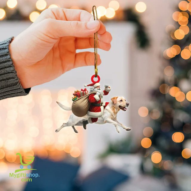 Labrador Lover tweet media