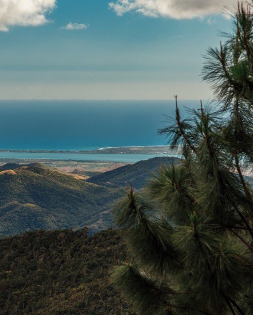 Vista a la costa sur desde Cayey 🇵🇷🌲
#PuertoRico