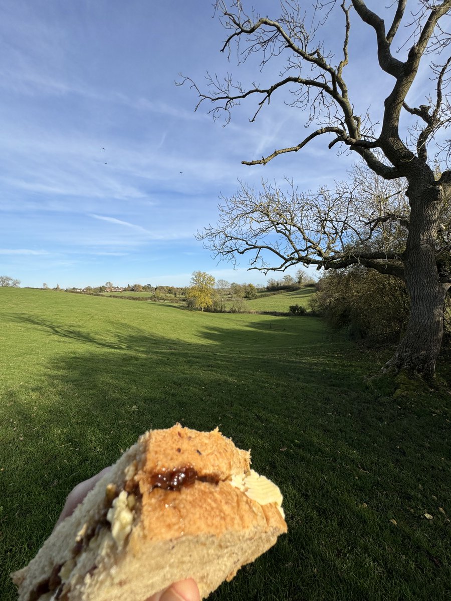 phil_d13's tweet image. Today’s homemade cheese &amp;amp; pickle #lunchwithaview. Additional fresh fungi topping 😋🤣🤣