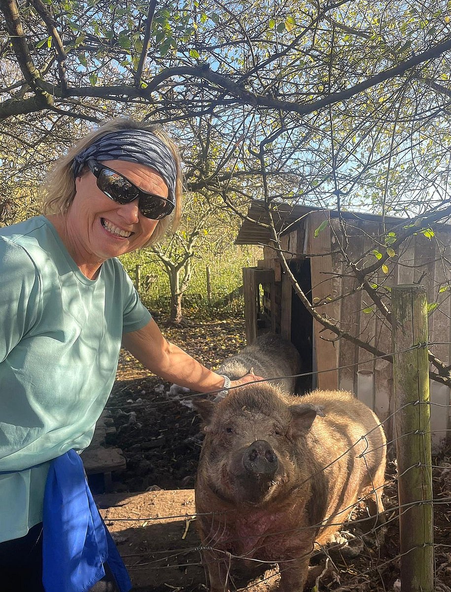 Sunday morning run came accross this little snorting beauty. 🐽