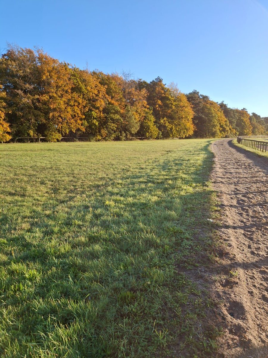 Heath Court Hotel tweet media