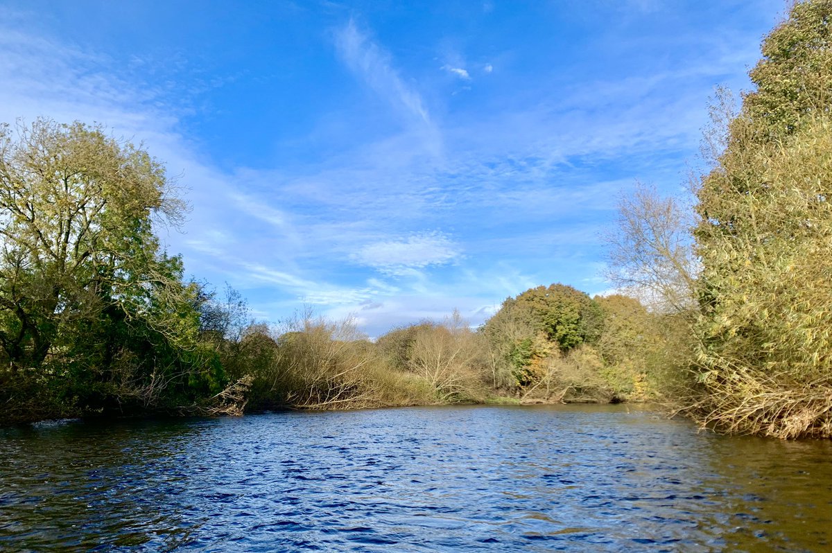 FreestoneFF's tweet image. A stunning autumnal day on the river! Grayling were playing ball too. Great to see them back in numbers!