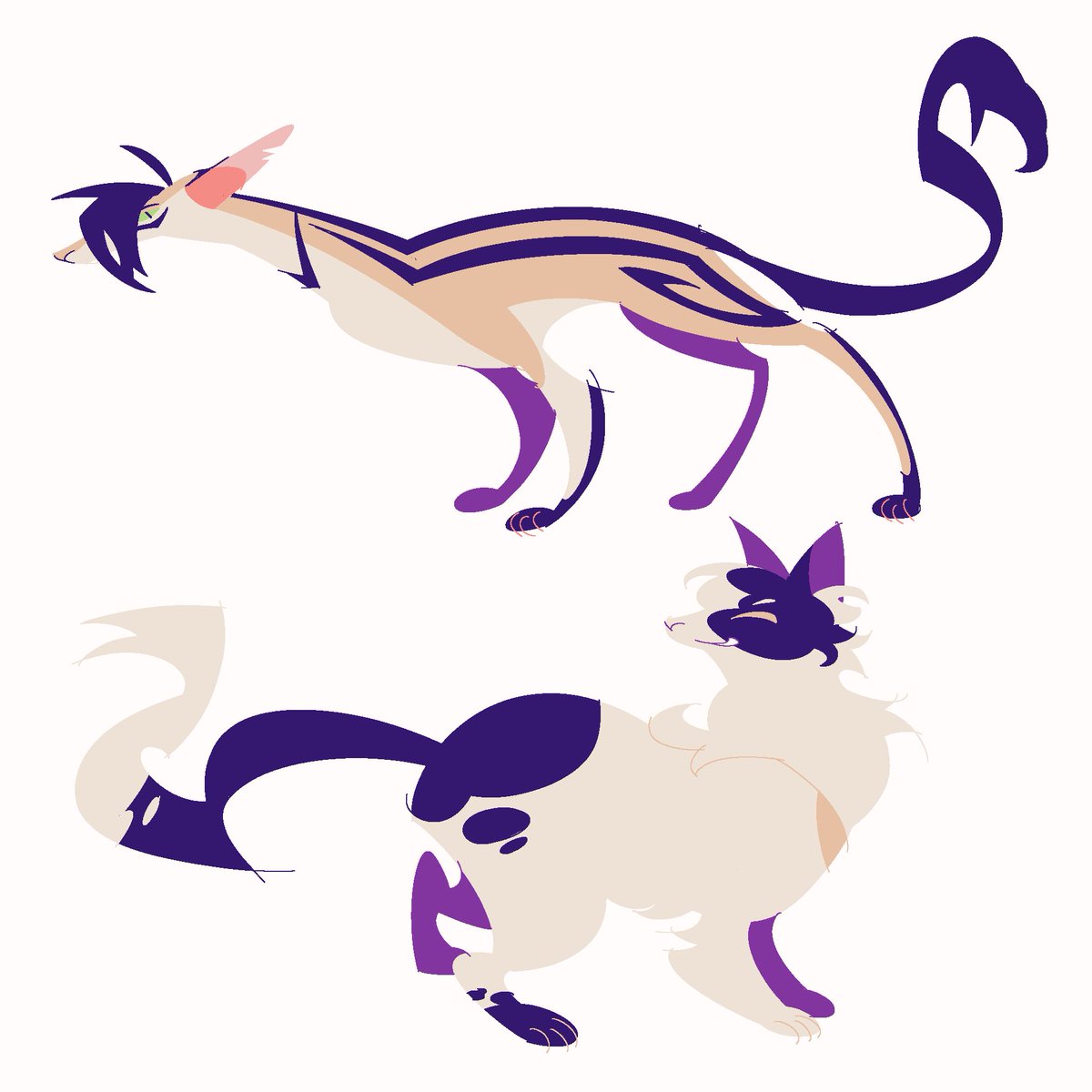 Zee 🐟 tweet media