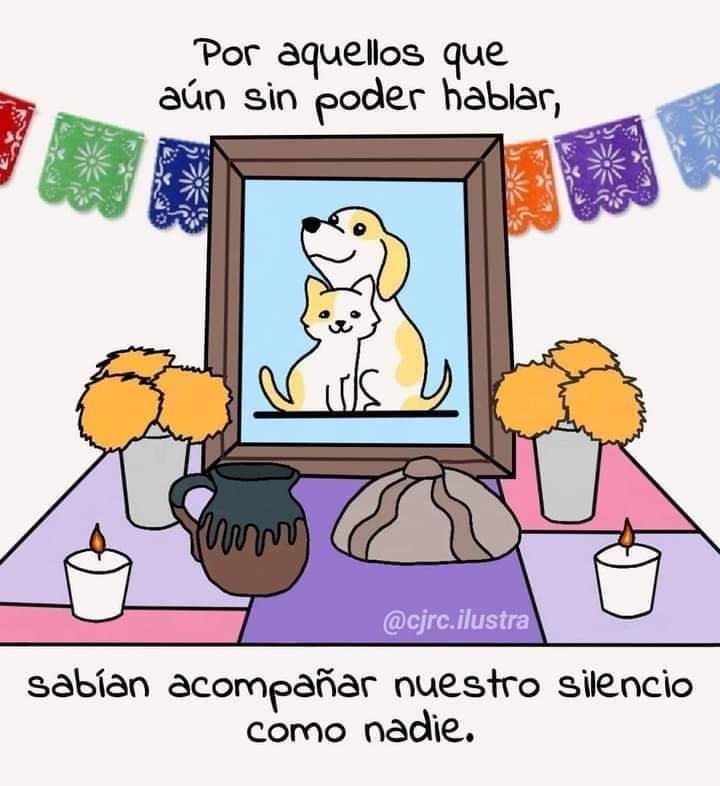 🐾🐾🥺🙏