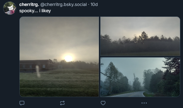 cherritrg.bsky.social tweet media
