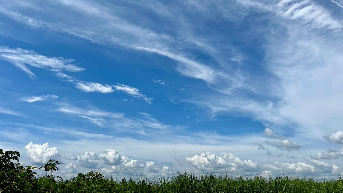 Finham 6th Form tweet media