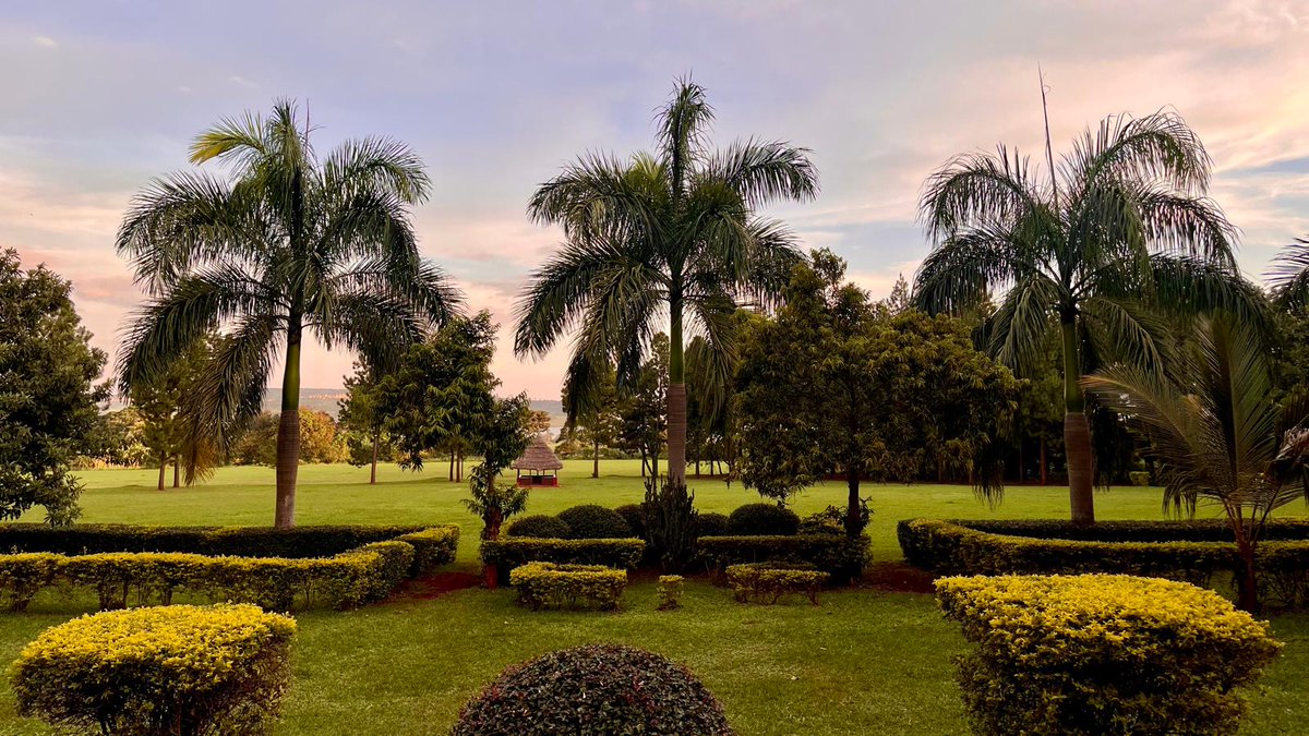 Finham 6th Form tweet media