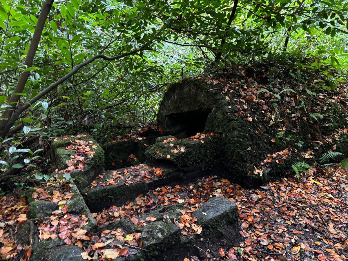 SavetheHellfire's tweet photo. Autumn afternoon views in Massy’s Wood 🍂 #autumncolors #BankHolidayWeekend #sundayvibes https://t.co/7M6w0ULRVw