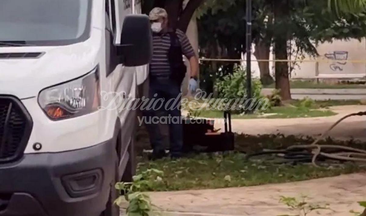 DiariodeYucatan's tweet photo. ⚡ Macabro hallazgo en Mérida: cuerpo en árbol de un parque https://t.co/wDZiX56Xr8 https://t.co/uOP9I3TSKk