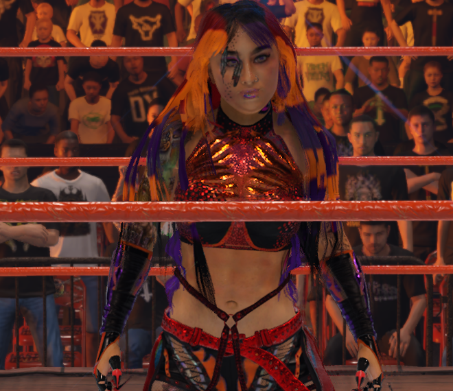 Super Smash Bros Wrestling tweet media