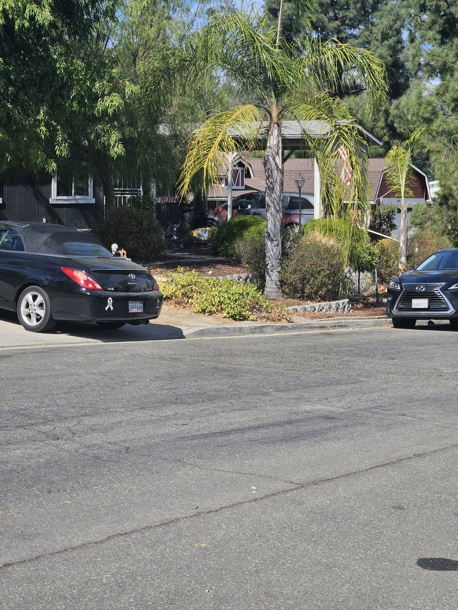 mcbroomifer tweet media