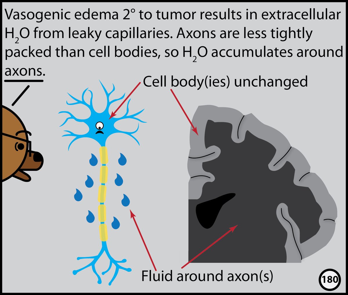 Stefan Tigges tweet media