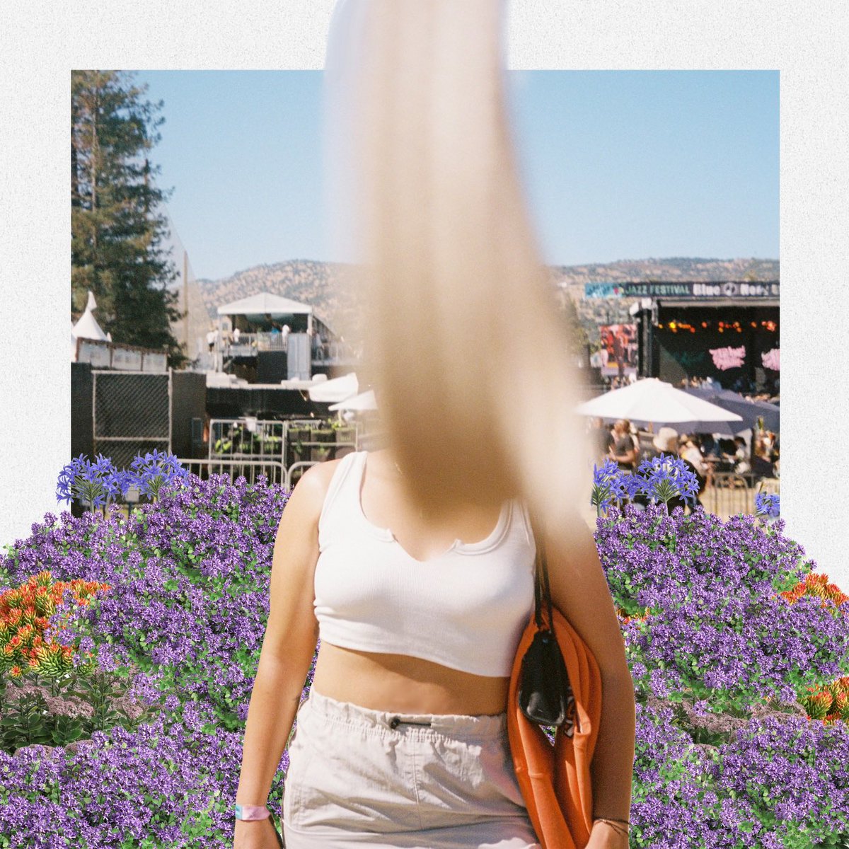 celena • suh len ah tweet media