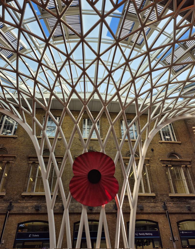 Sallyann Woodthorpe 💙🌈 tweet media