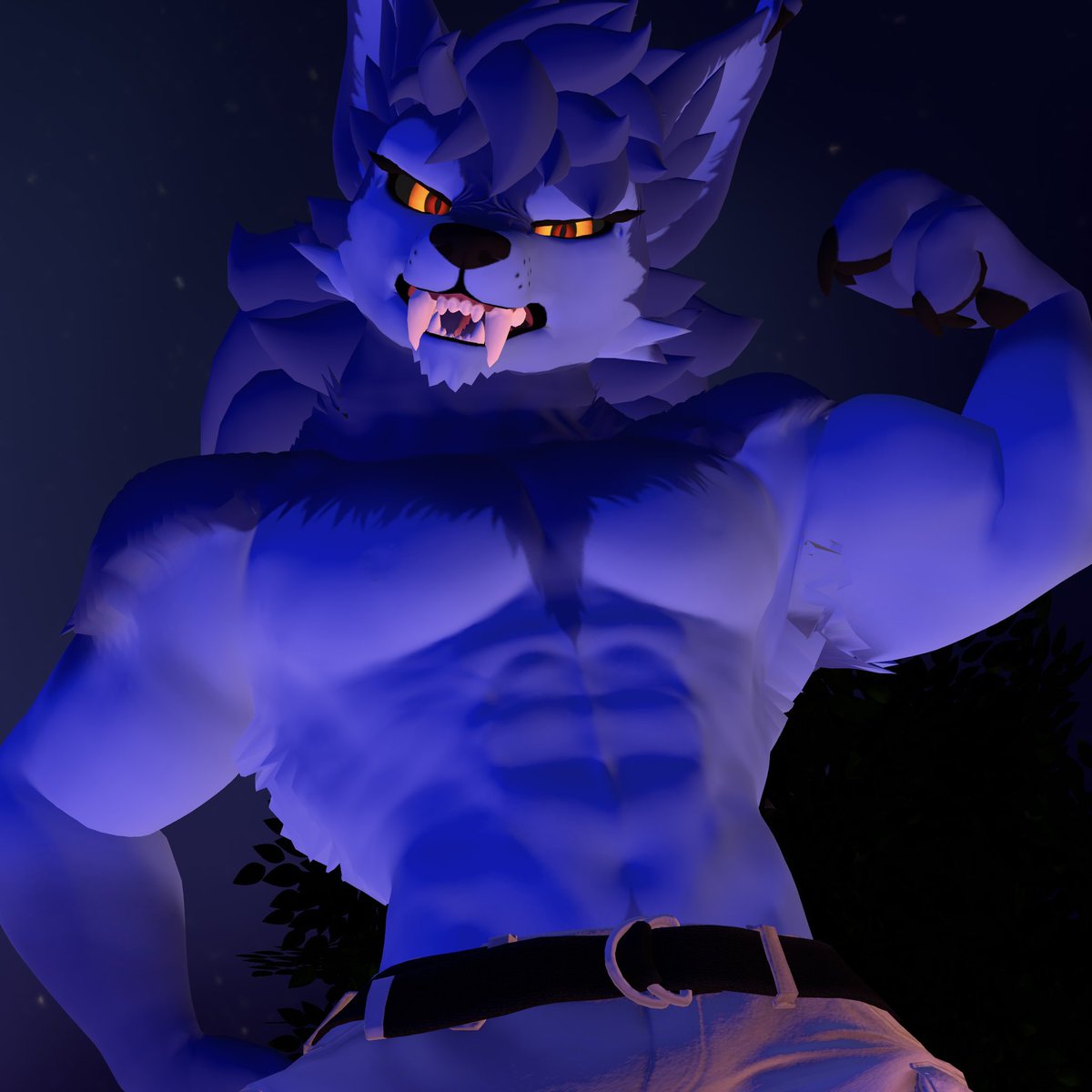 Marvii The Collie tweet media