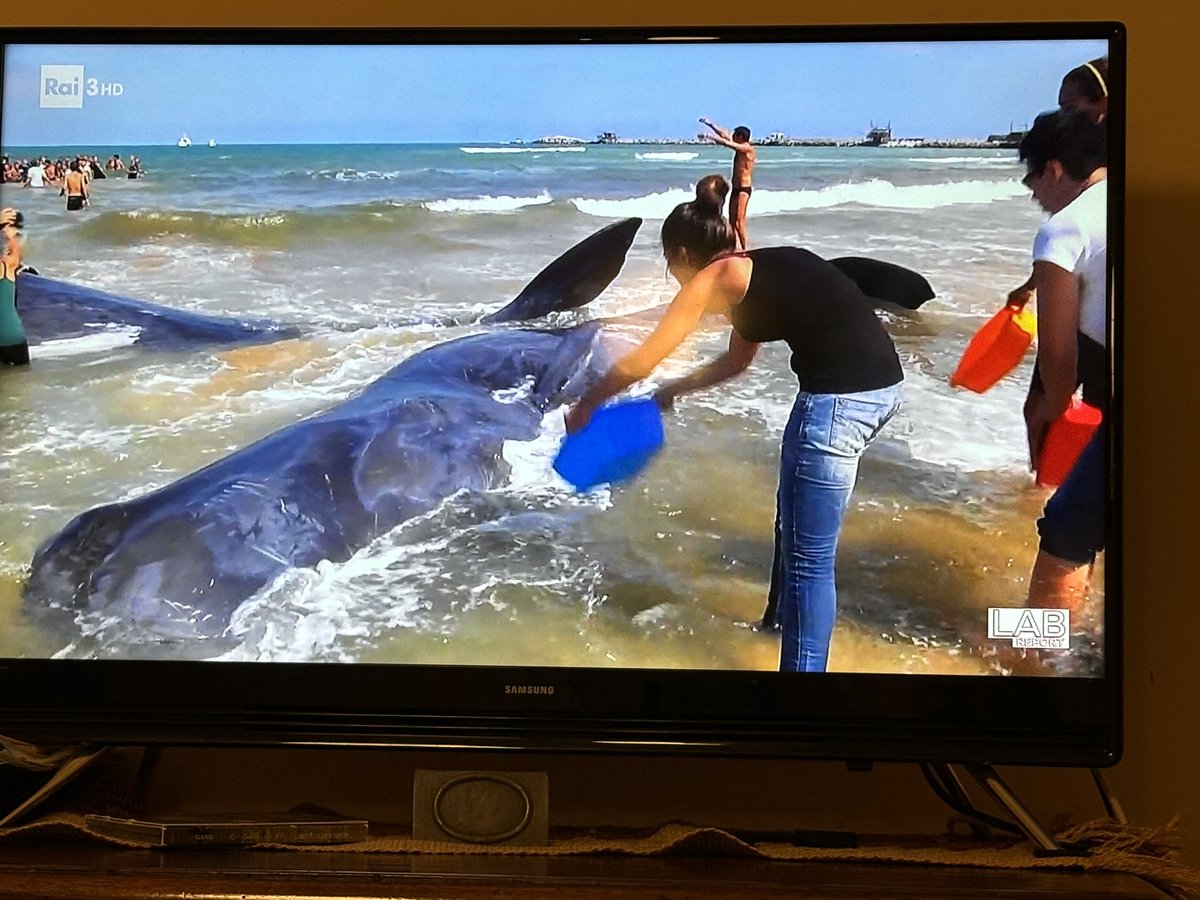 TonyFiloni's tweet image. Commovente #reportLab