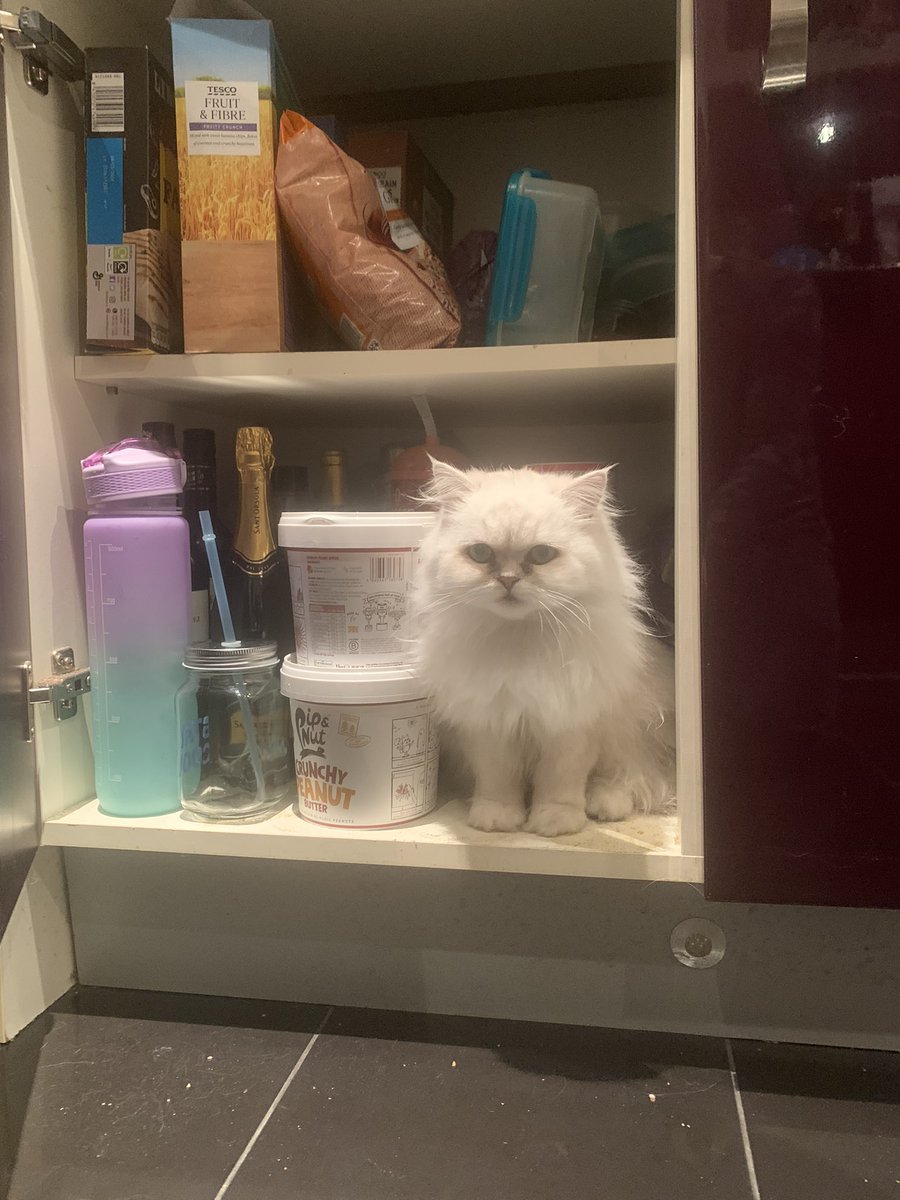 Nick Bruzon tweet media