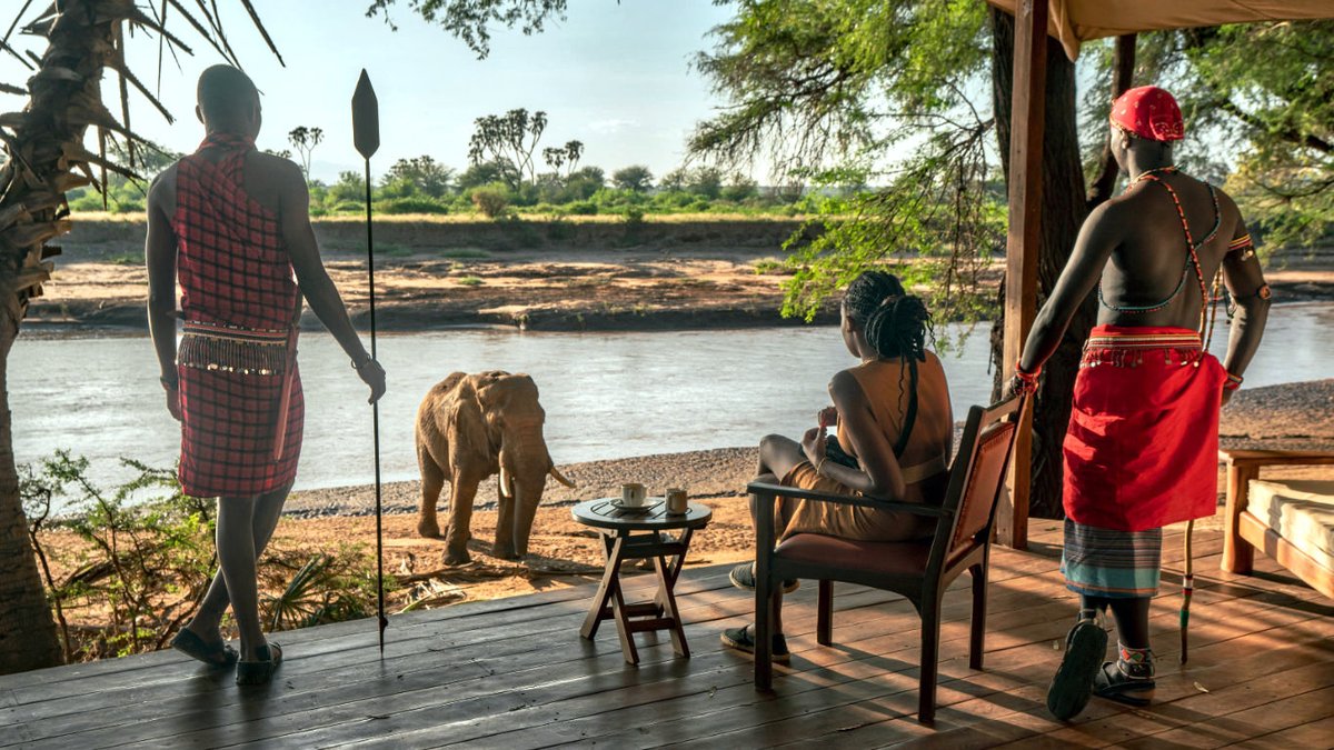 KenyaGeographic's tweet photo. Your Soroi Larsens Camp Fly-In Safari begins the moment you board the plane in Nairobi, whisked away to Samburu, where untamed beauty reigns.
https://t.co/ZENeHWrbli
____________________
#FlyInSafari #TembeaKenya #MagicalKenya #KOT #WhyILoveKenya #TravelKE #KenyaGeographic https://t.co/TX7W5d3Ih8