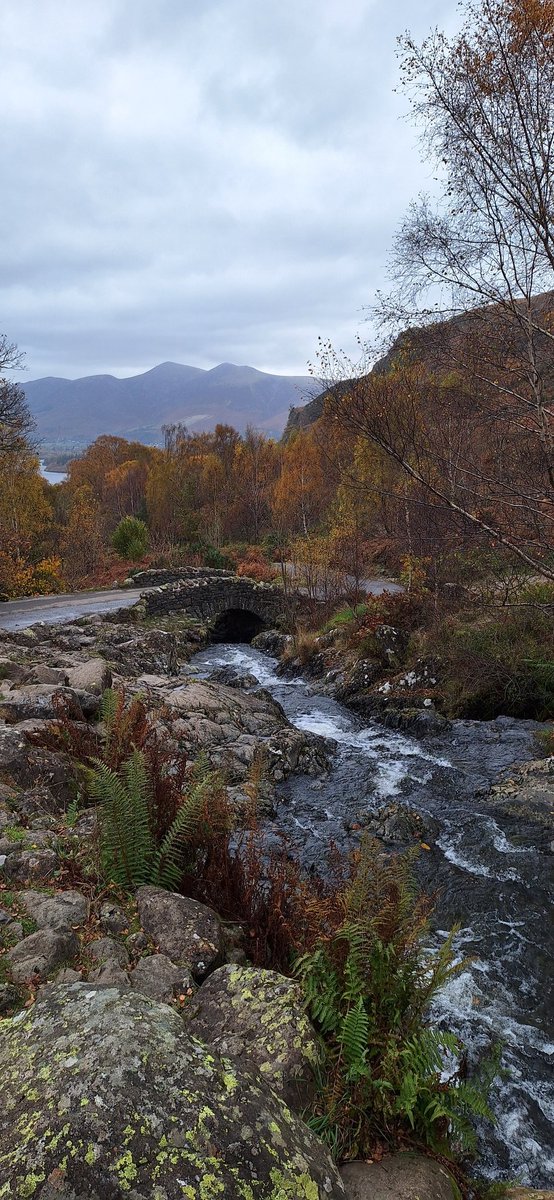 Liz Patching tweet media