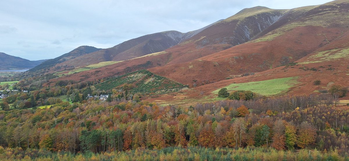 Liz Patching tweet media