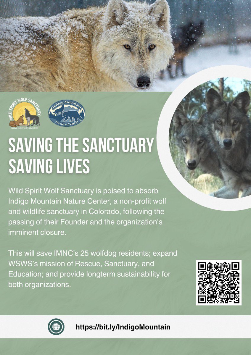 Hey guys, we need your help!
Our charity wild spirit wolf sanctuary is in need of any donation you can spare. They are in the process of absorbing IMNC. If they can't raise the funds they need the  50 wild canines from that sanctuary could be euthanized!