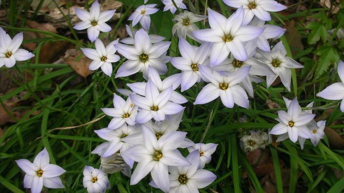 kamisama_kotoba's tweet image. Release it and surrender to the natural flow.

諦めて自然な流れに任せる。
#entrust #委ねる