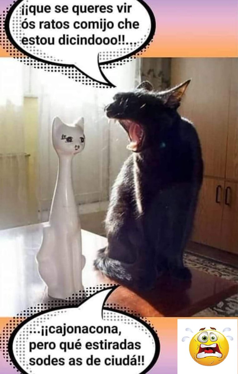 As cousiñas do WhatsApp 🤣🤣🤣