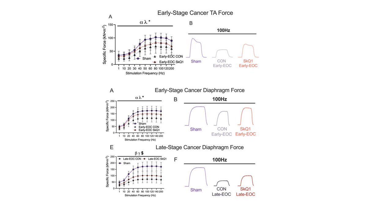 Christopher Perry PhD (@chrisperrymito) on Twitter photo Our 3rd new manuscript this week: <a href="/DelfinisLuca/">Luca Delfinis, PhD</a> found a mitochondrial-targeted compound partially prevents muscle weakness without preventing atrophy in ovarian cancer. This opens a new direction for therapies targeting muscle ‘quality’. biorxiv.org/content/10.110… Our 3rd new manuscript this week: <a href="/DelfinisLuca/">Luca Delfinis, PhD</a> found a mitochondrial-targeted compound partially prevents muscle weakness without preventing atrophy in ovarian cancer. This opens a new direction for therapies targeting muscle ‘quality’. biorxiv.org/content/10.110…