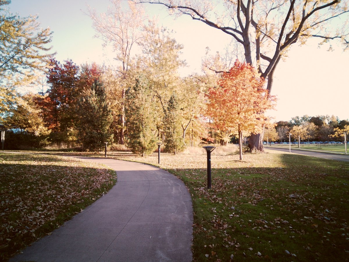 hi to my photographer friends :) 
it’s been a while since I posted anything photo related. The first half of the year was really traumatic but I’ve been healing and photography has been helping me do it❤️
I’m excited to be back sharing my art😊
📸 papershoot camera