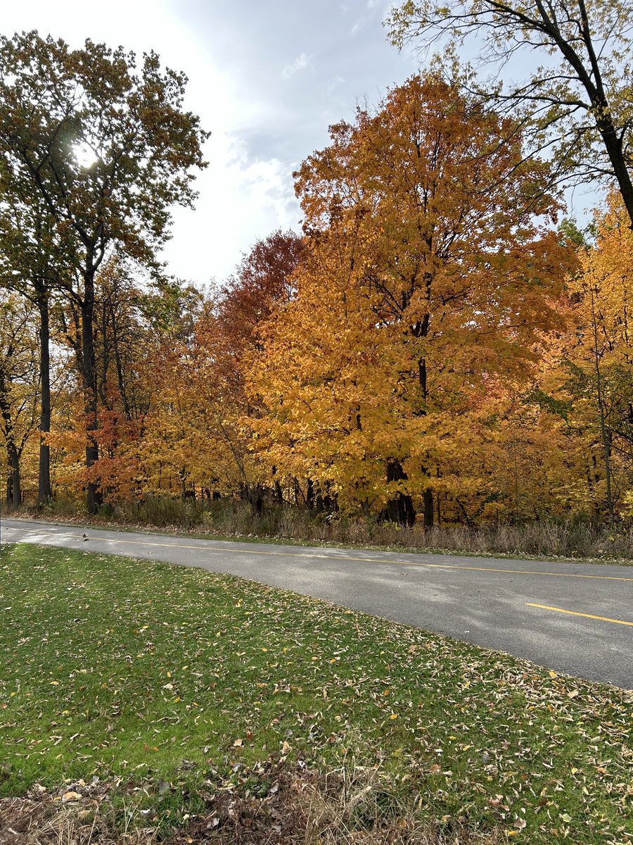 Johnny Mars (@johnnymarsdj) on Twitter photo Itās natureās way of telling youā¦get out and luxuriate in the colorful display of the season. With a soundtrack for your stroll ā¦provided by ā©ā¦<a href="/JohnnyMarsDJ/">Johnny Mars</a>ā© ; ā¦<a href="/djfrankelee/">Frank E. Lee</a>ā© & Don Davis all day & night ā¦<a href="/93XRT/">WXRT Chicago</a>ā© Itās natureās way of telling youā¦get out and luxuriate in the colorful display of the season. With a soundtrack for your stroll ā¦provided by ā©ā¦<a href="/JohnnyMarsDJ/">Johnny Mars</a>ā© ; ā¦<a href="/djfrankelee/">Frank E. Lee</a>ā© & Don Davis all day & night ā¦<a href="/93XRT/">WXRT Chicago</a>ā©