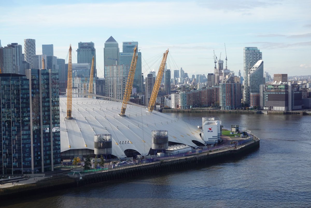 The Koya Lab tweet media