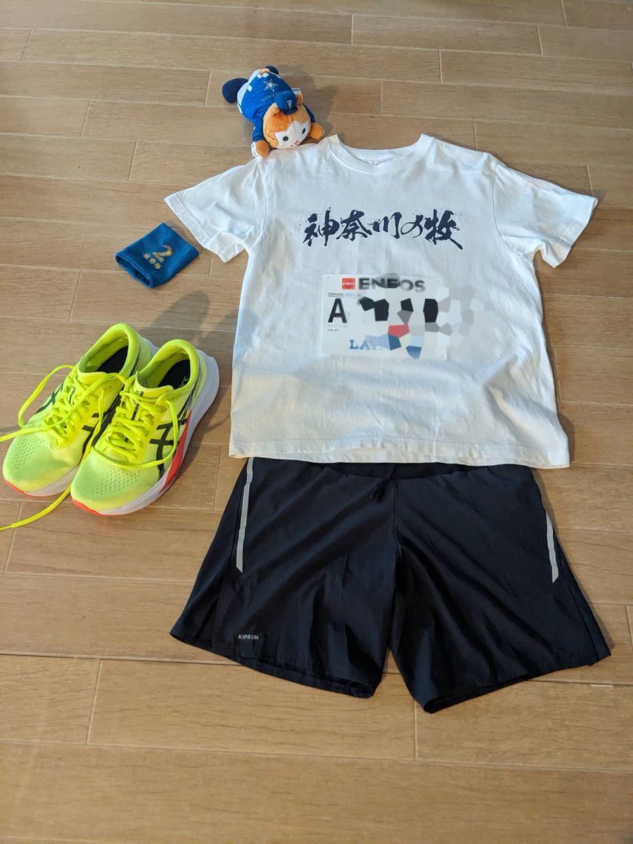 punimarugoro's tweet photo. 神奈川の牧Ｔシャツで横浜マラソンを完走しました。沿道での応援に励まされました！ありがとうございました。
夜はハマスタでベイスターズを全力で応援してきました⚾️

#横浜DeNAベイスターズ
#横浜マラソン
#ユニフォームRun https://t.co/JxRp0Ikq8R