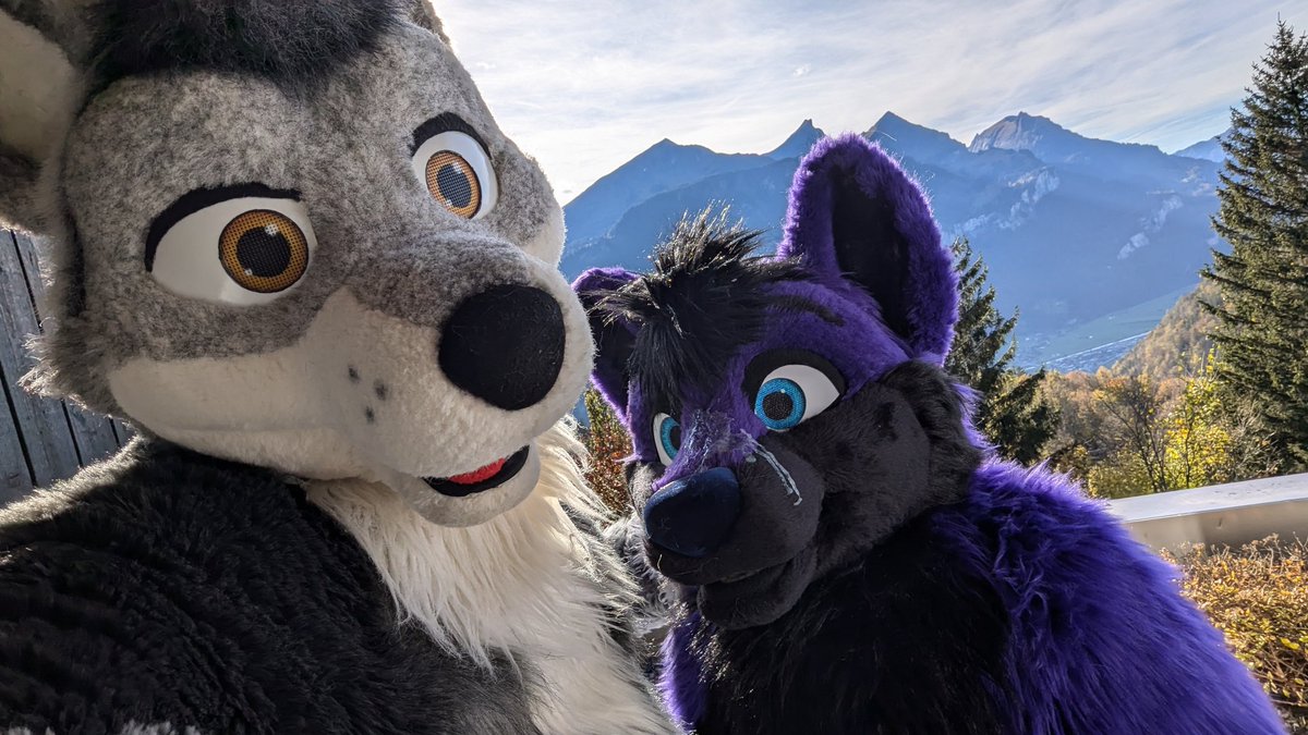 Greetings from Switzerland! <a href="/TopFox_Lucer/">Lucer Cum Corner</a> certainly knew how to welcome his guests :3
#murrsuit #cum