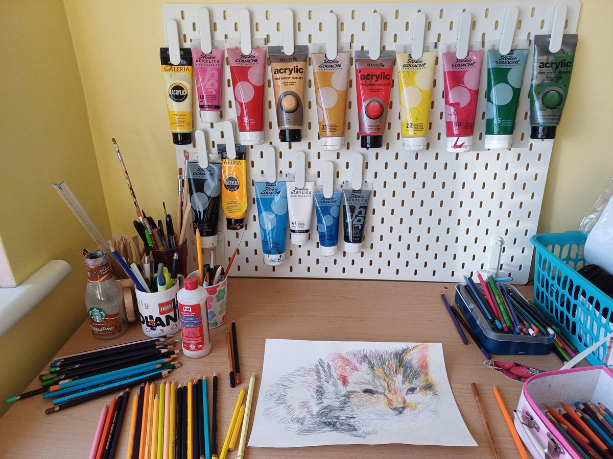ColouredPet's tweet photo. 😻 I'm back at it with a Fluff pencil drawing 🎁 cat gift. 🍂 Beautiful inspiration and lovely orange and yellows from our Autumn walk this weekend in Ecclesall Woods 👉https://t.co/zoUVUIK8Vb #Catgift #Catdrawing #CustomOrder #CustomGift https://t.co/nUWlvIejAO