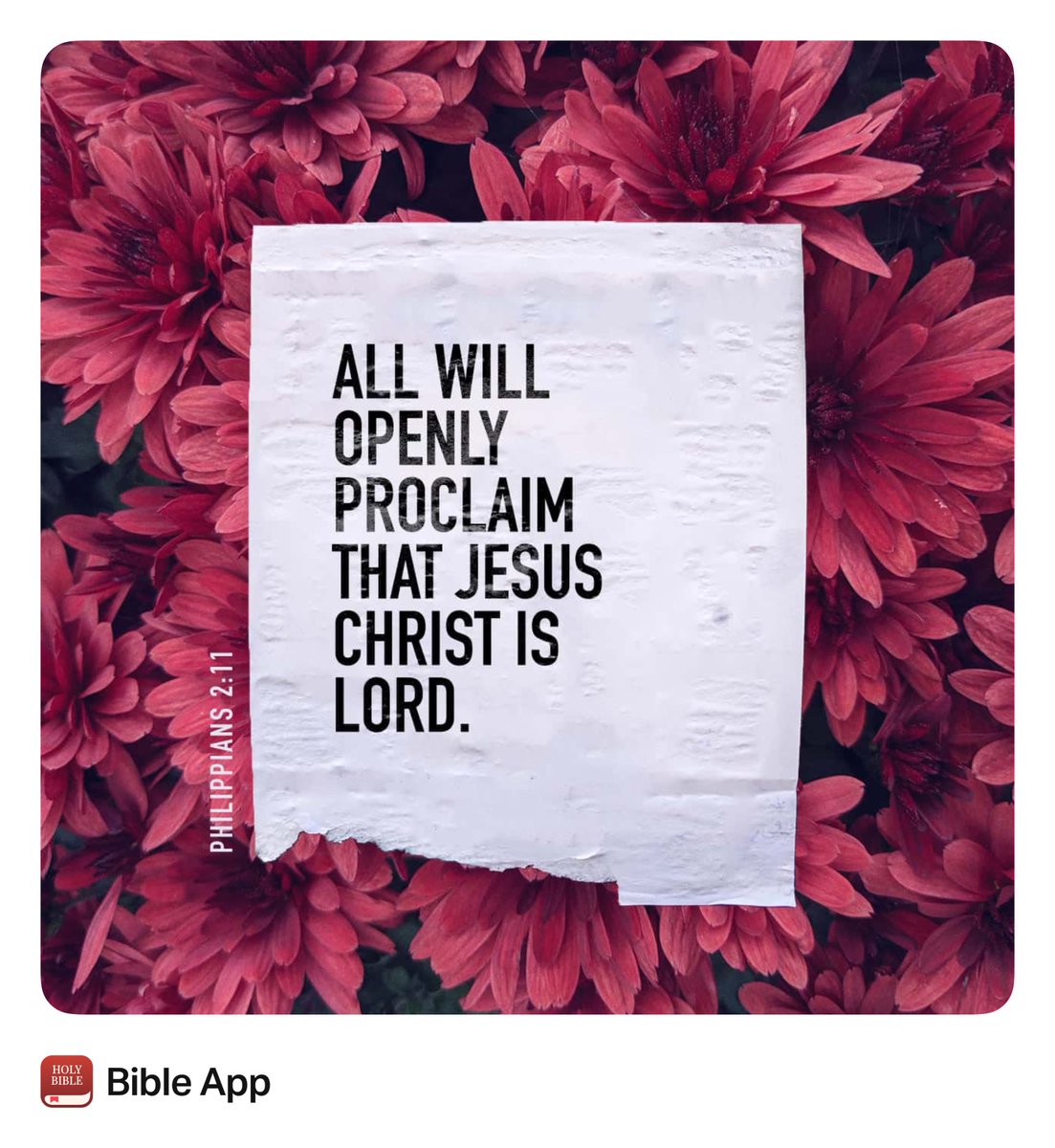 “…at the name of Jesus every knee will bow, in heaven and on earth and under the earth, and every tongue acknowledge that Jesus Christ is Lord, to the glory of God the Father.”
Philippians 2:10-11