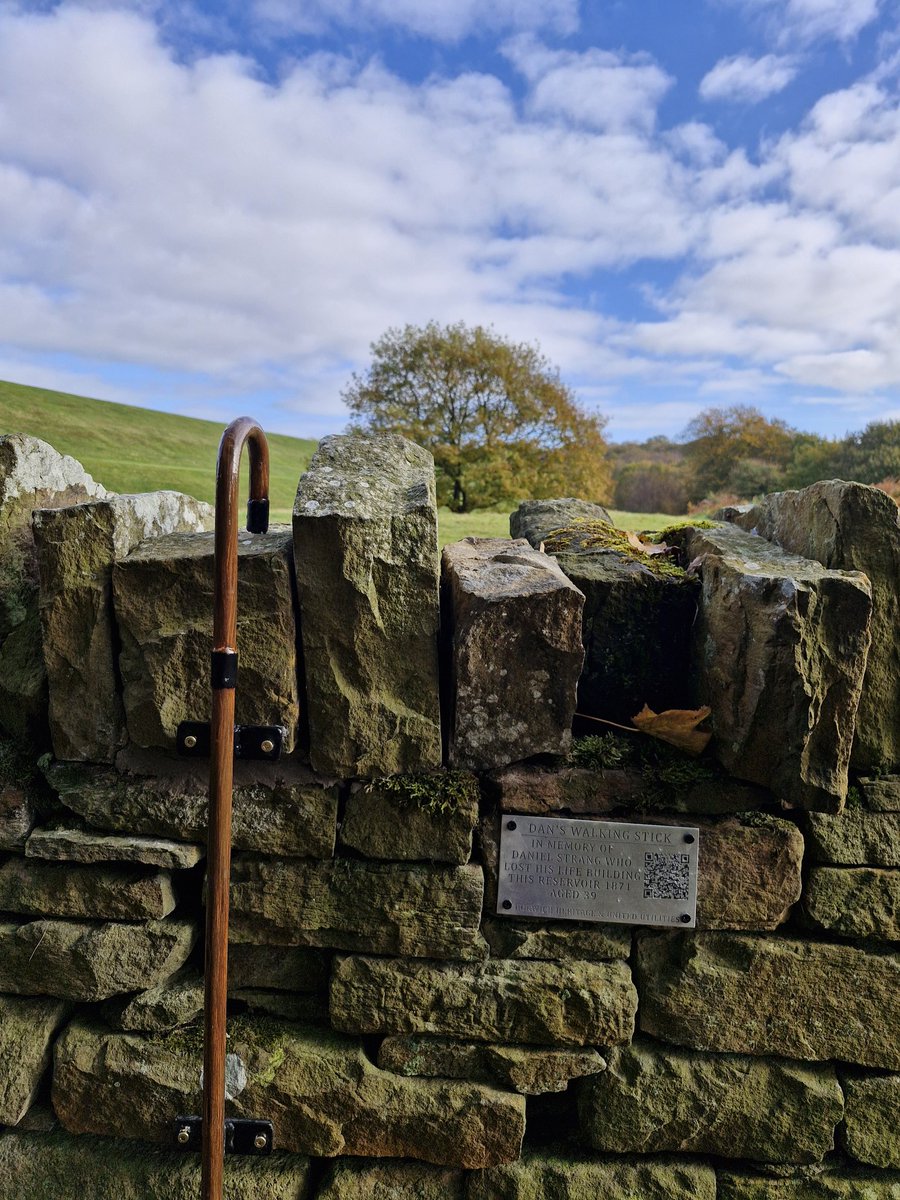 clarkmark92's tweet photo. A rare football free day meant a family walk around Anglezarke. Luckily, we spotted a deer on a lovely Sunday late morning. #anglezarke #Chorley 
@InChorley @StormHour https://t.co/EirA5KtkuD