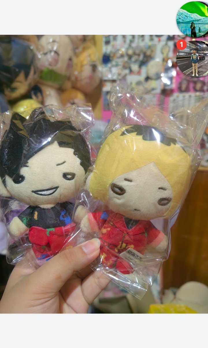 winkle_wis's tweet photo. WTS LFB PH

Haikyu Haikyuu nitotan 
Akaashi P850
Kuroo P850
Kenma P950

All on hand

Mop: Gcash
Mod: j&amp;t/flash

Tag: kenma kuroo bokuto tsuki sugawara kageyama hinata https://t.co/Dg7XYE1mjy