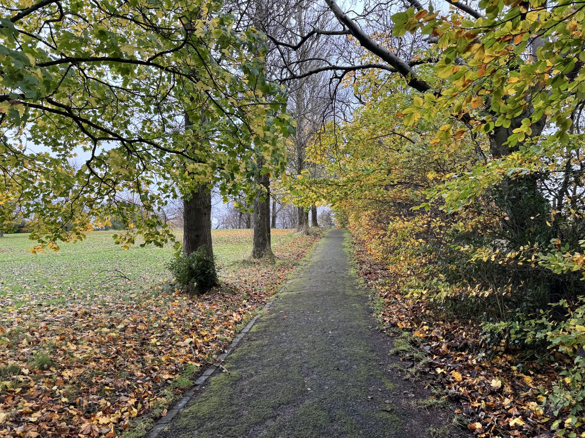 Clearing up lots of leaves…
