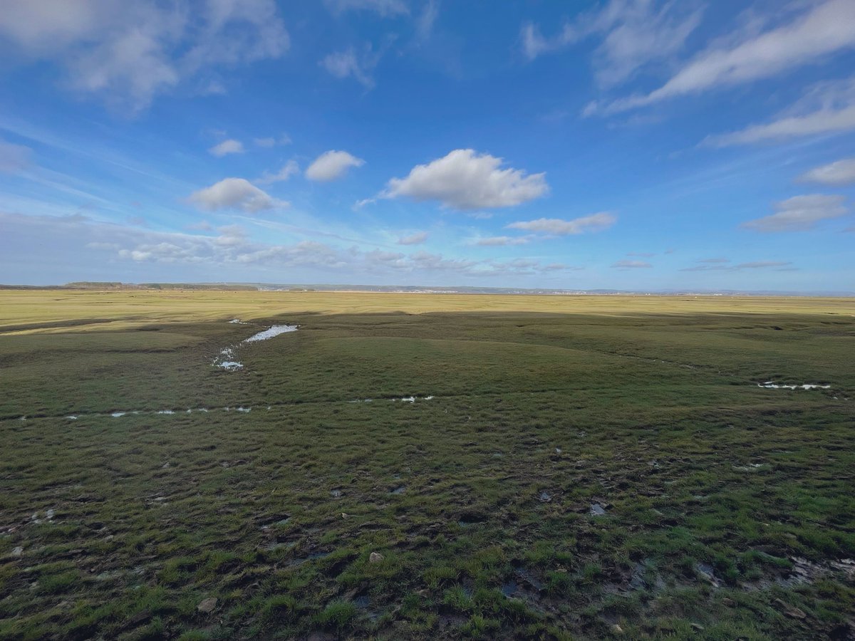 Vanessa Cuthill (@vanessaplain) on Twitter photo Landore marsh in N Gower is such a contrast to S Gower beaches, but equally beautiful for a days walk. It reminds me of my time time living in <a href="/WivenhoeTown/">Wivenhoe Town</a> on the Essex coast, with the tidal creaks and abandoned boats. Landore marsh in N Gower is such a contrast to S Gower beaches, but equally beautiful for a days walk. It reminds me of my time time living in <a href="/WivenhoeTown/">Wivenhoe Town</a> on the Essex coast, with the tidal creaks and abandoned boats.