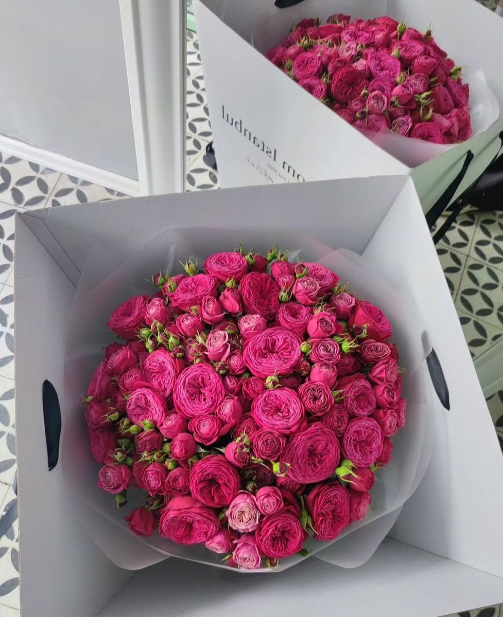 Pink 💗