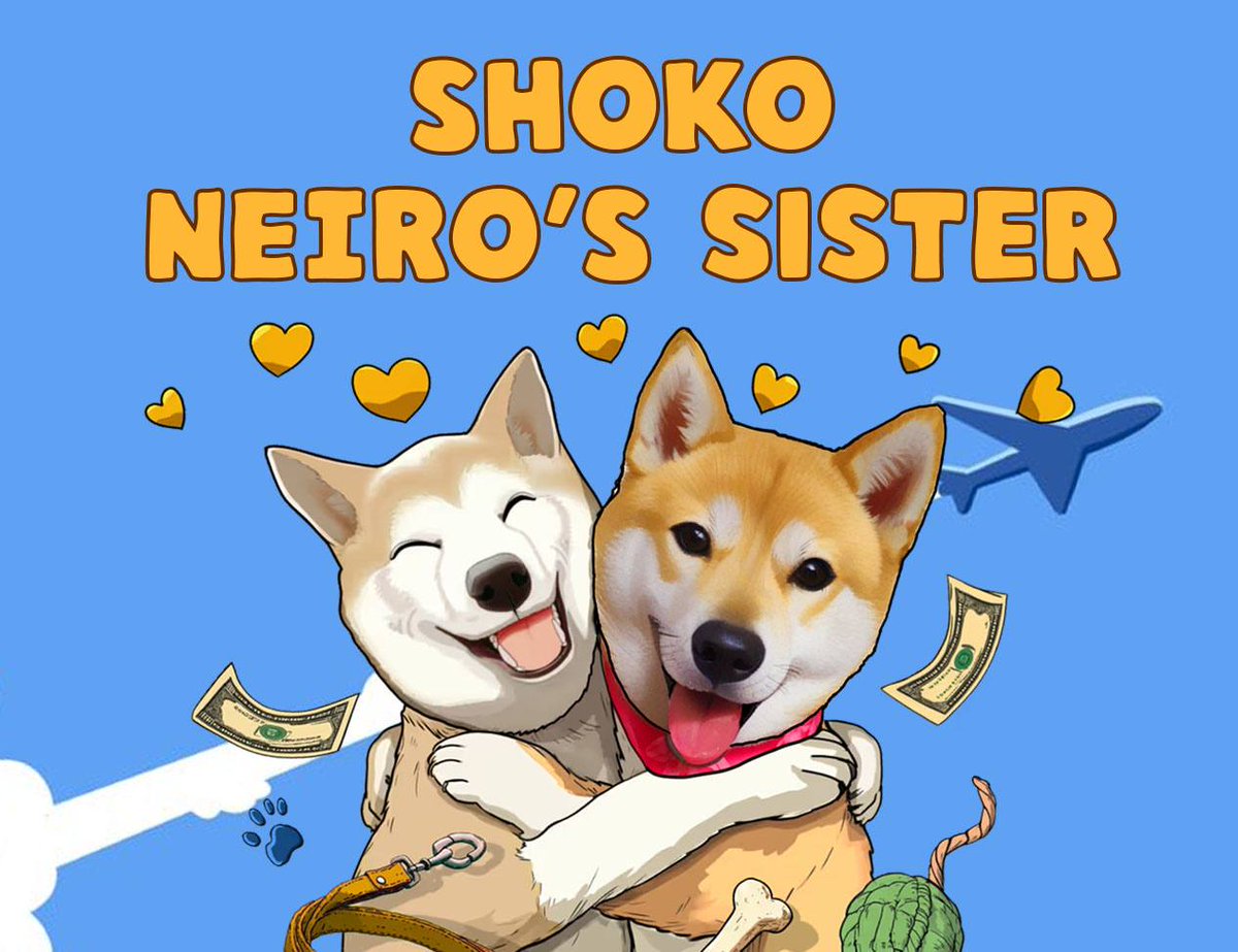 Shokocommunity's tweet photo. @Poe_Ether The ticker is $SHOKO https://t.co/xAUwWdjmH3