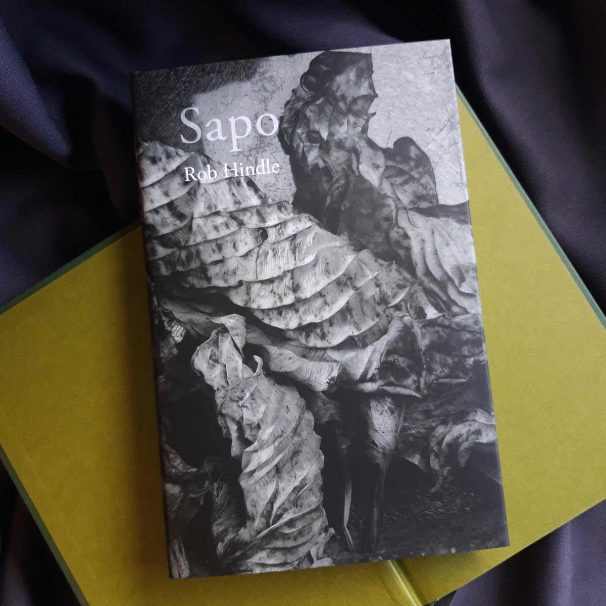 Longbarrow Press (@longbarrowpress) on Twitter photo Autumn has come down from the north
with its poems and shadows, its old memories.
If you missed us at <a href="/SmallPublishers/">Small Publishers Fair</a>, you can pick up Rob Hindle's suitably autumnal collection 'Sapo' here (with £3 off until Tuesday)
longbarrowpress.com/current-public… Autumn has come down from the north
with its poems and shadows, its old memories.
If you missed us at <a href="/SmallPublishers/">Small Publishers Fair</a>, you can pick up Rob Hindle's suitably autumnal collection 'Sapo' here (with £3 off until Tuesday)
longbarrowpress.com/current-public…