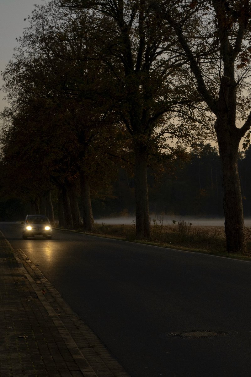 I photographed in the mist